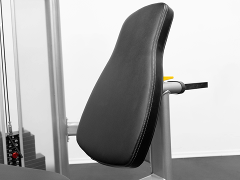 Leg Curl/Extension (GR639)