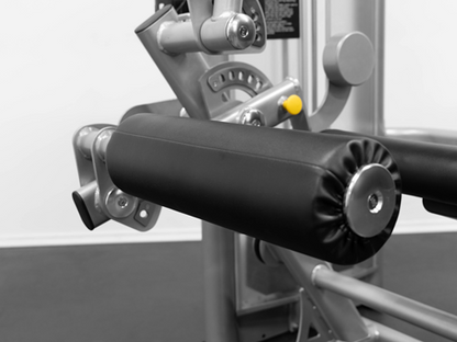 Leg Curl/Extension (GR639)