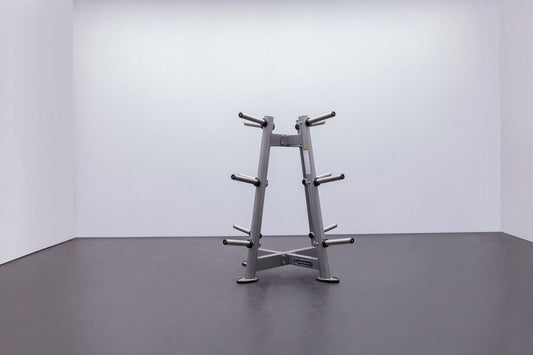 Weight Plate Tree (CF2134)
